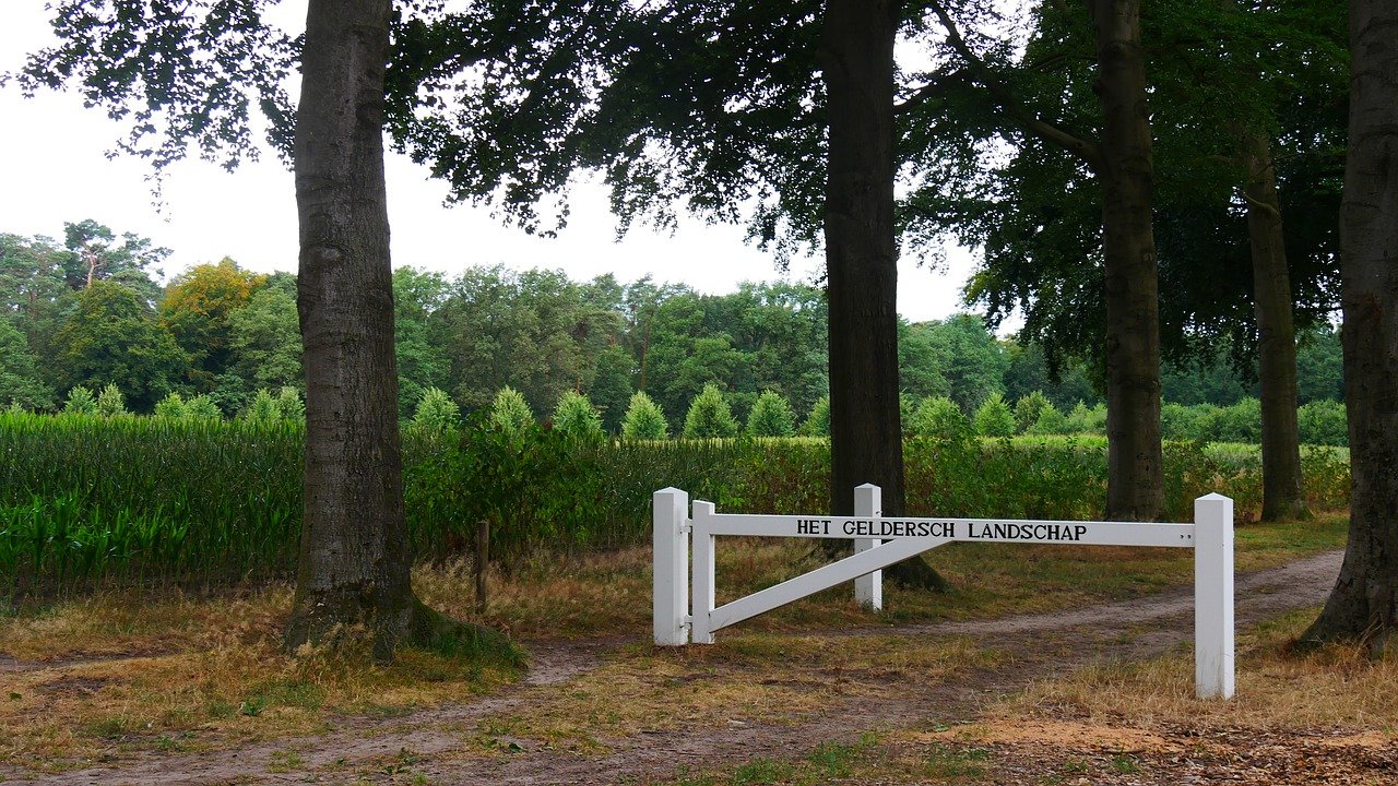 Drie soorten hekwerken voor jouw tuin of terrein!